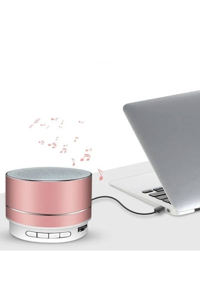 Mini Bluetooth Speaker
