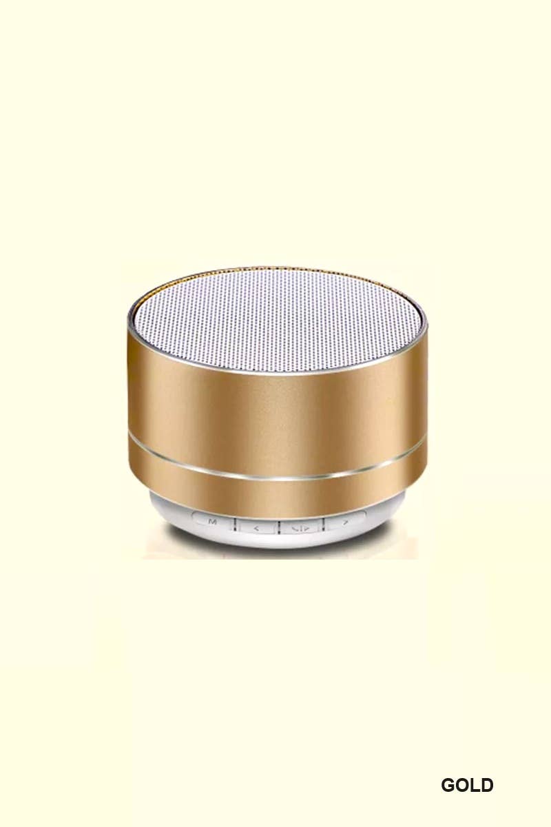 Mini Bluetooth Speaker