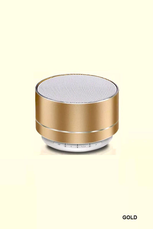 Mini Bluetooth Speaker